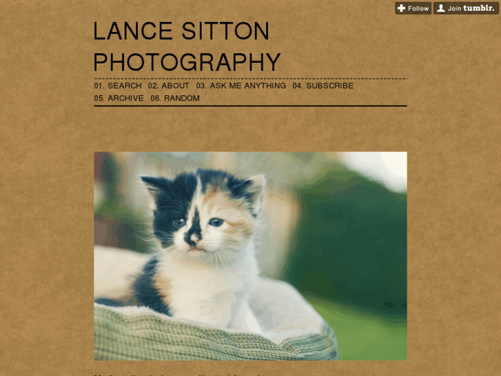 www.lancesitton.com