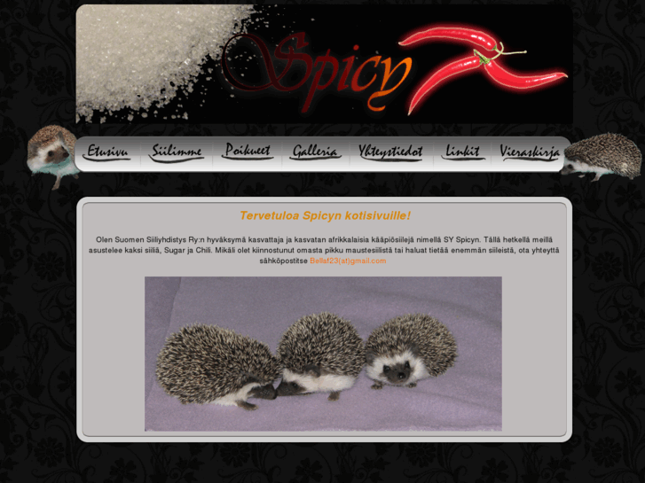 www.spicyn.com