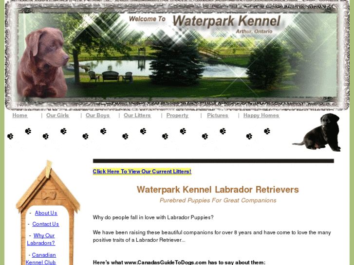 www.waterparklabs.com