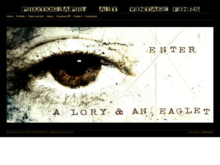 www.aloryandaneaglet.com
