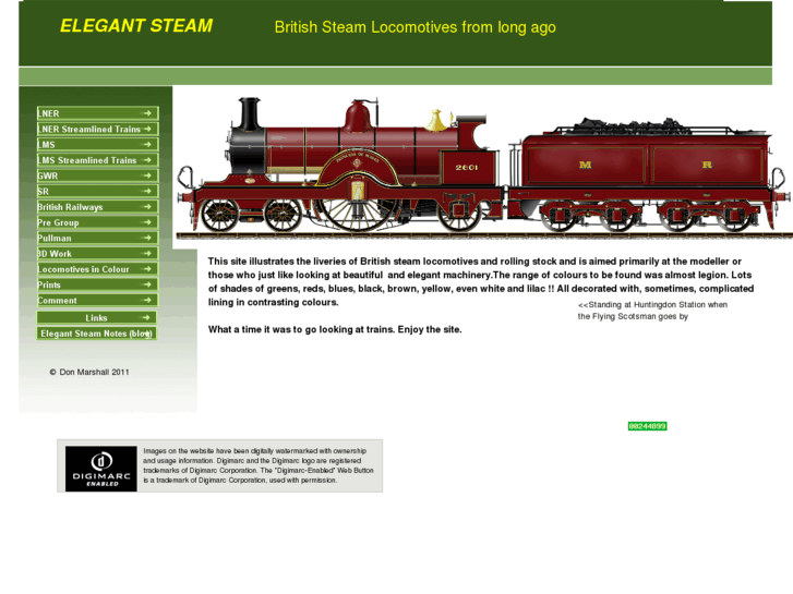 www.elegantsteam.com