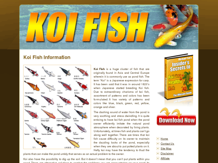 www.kiofish.com