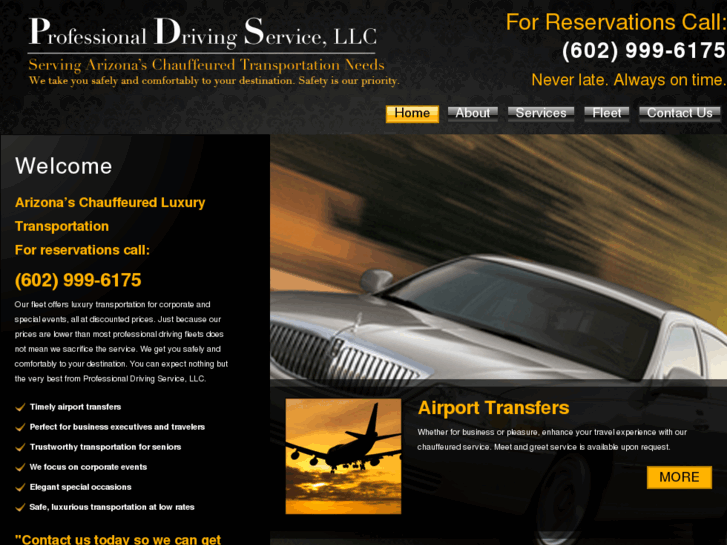 www.prodrivingservice.com