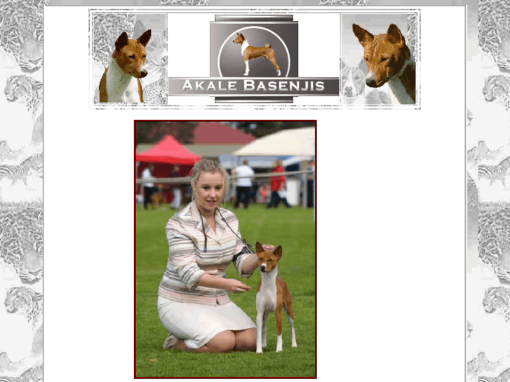 www.akalebasenjis.com