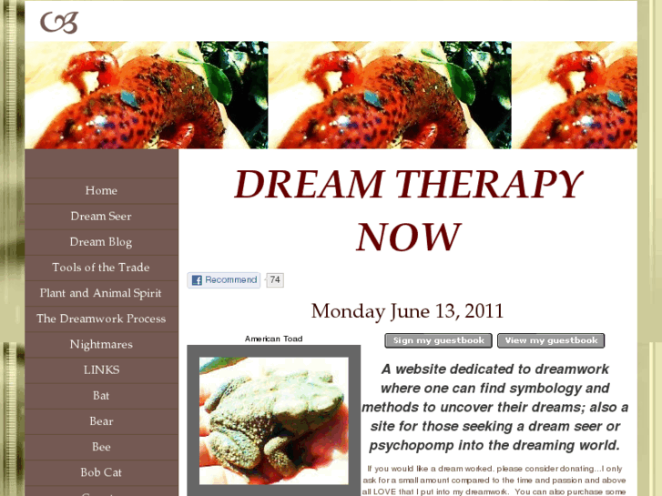 www.dreamtherapynow.com