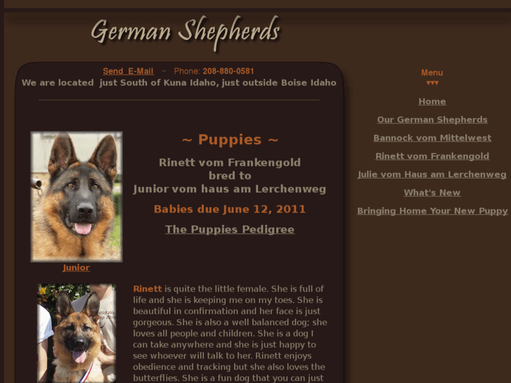 www.k9germanshepherds.com