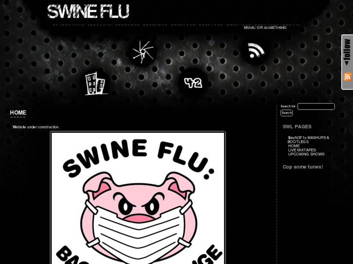 www.swineflulives.com