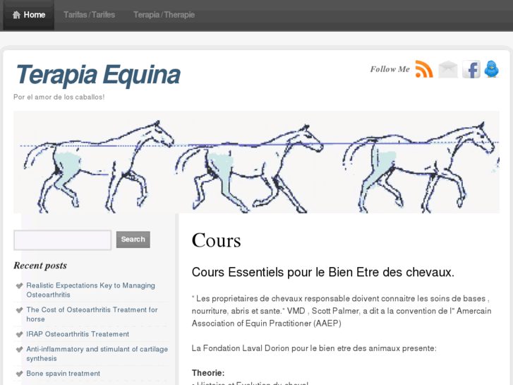 www.terapia-equina.com