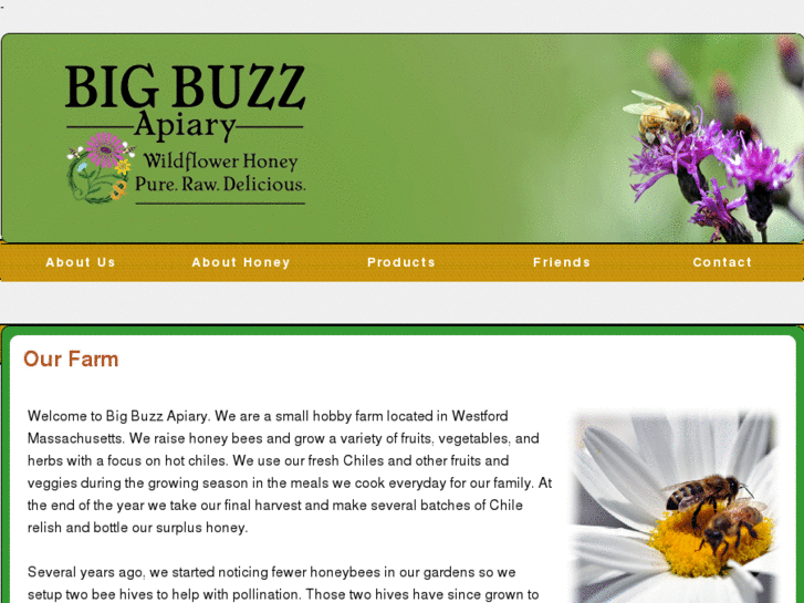 www.bigbuzzapiary.com