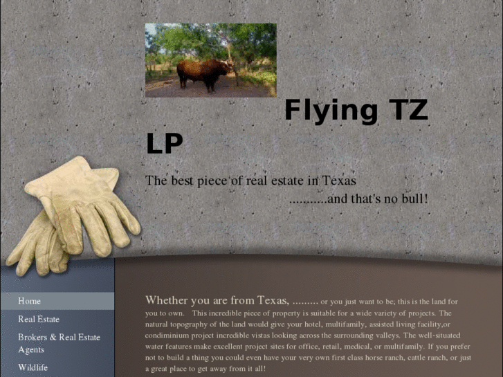 www.flyingtzlp.com