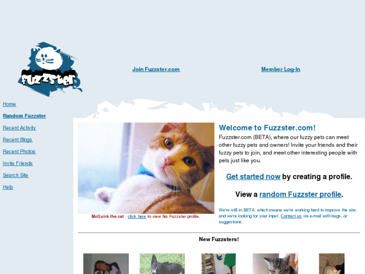 www.fuzzster.com