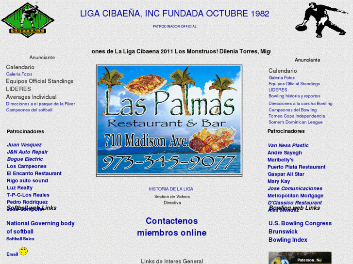 www.ligacibaena.com