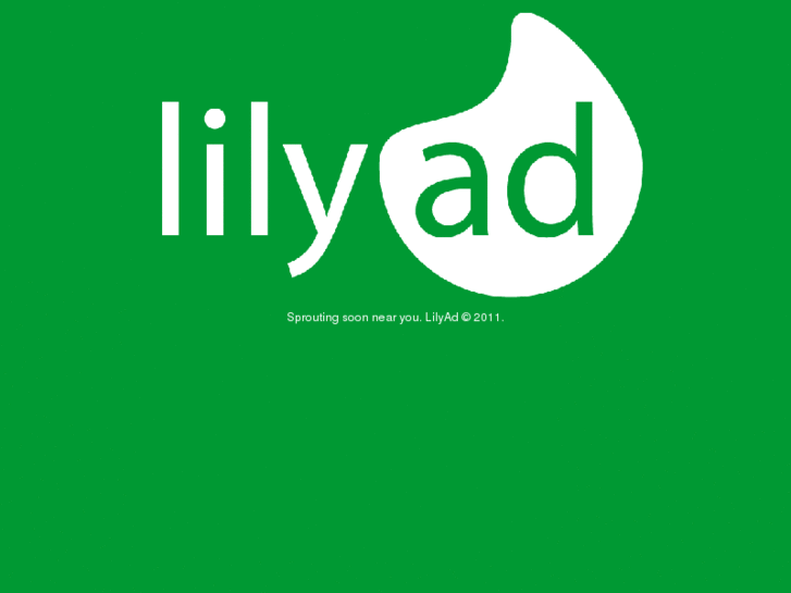 www.lilyad.com