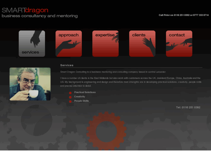 www.smartdragonconsulting.net