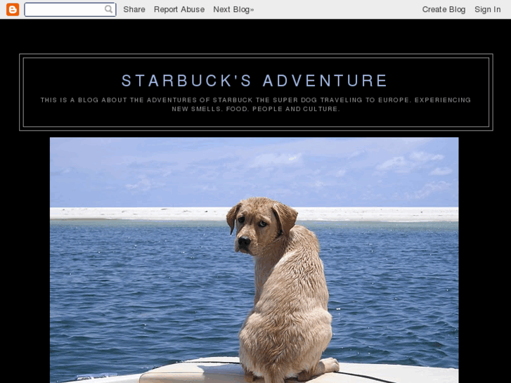 www.starbucksadventure.com