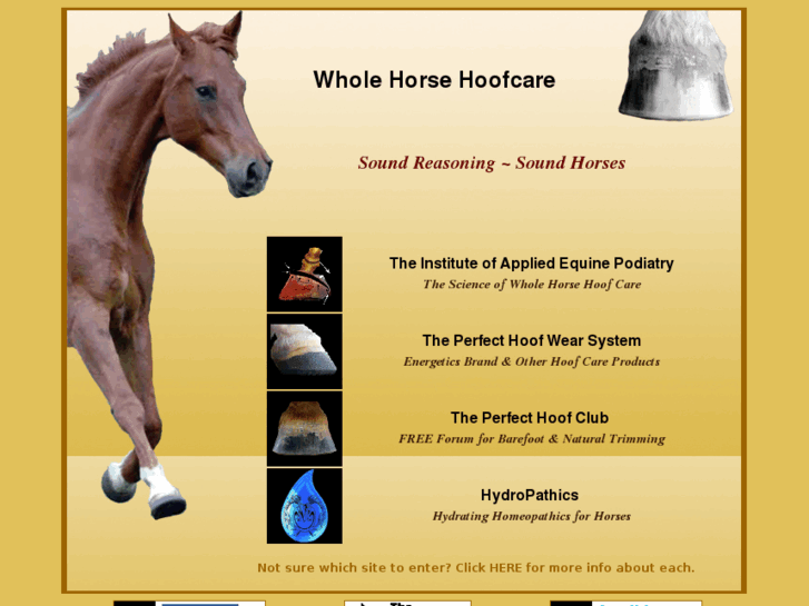 www.equinepodiatry.net