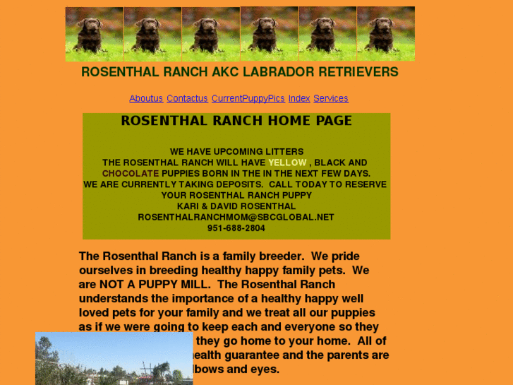 www.rosenthal-ranch.com