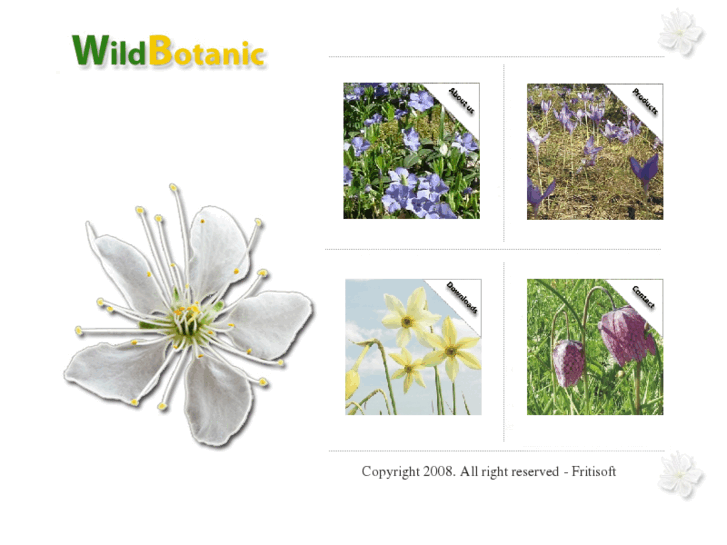 www.wildbotanic.com