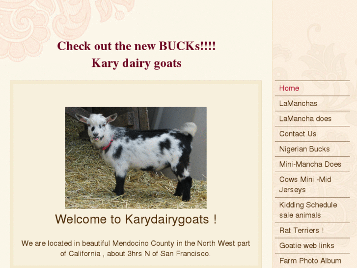 www.karydairygoats.com