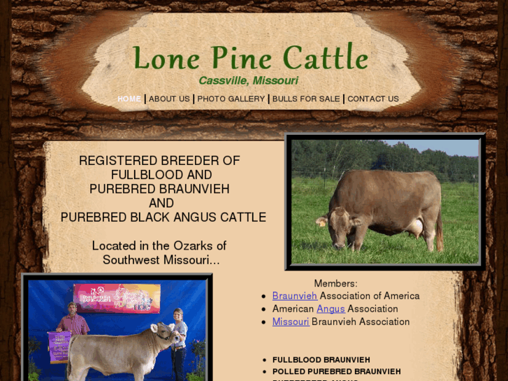 www.lonepinecattle.com