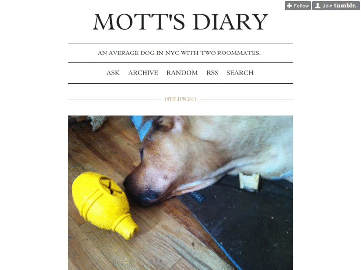 www.mottsdiary.com