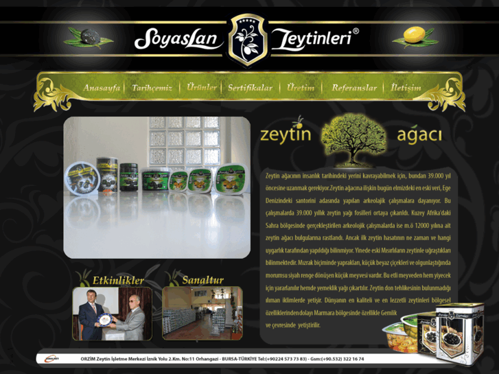 www.soyaslanzeytinleri.com