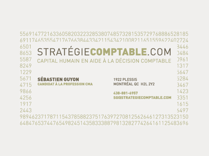 www.strategiecomptable.com