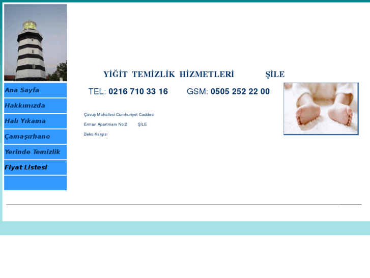 www.yigittemizlik.com