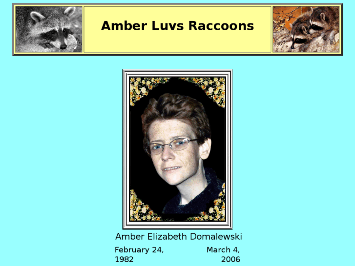 www.amberluvsraccoons.com