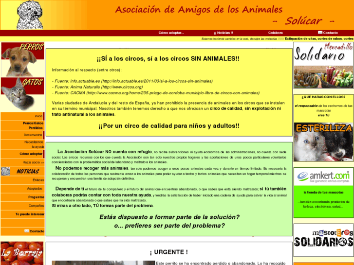 www.asociacionsolucar.com