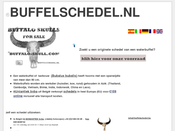 www.buffelschedel.com