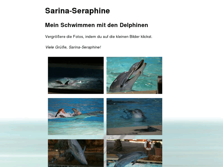 www.delphinschwimmen.net