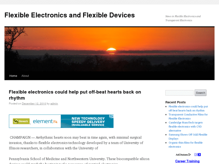 www.flexibleelectronics.info