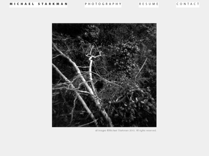 www.michaelstarkman.com
