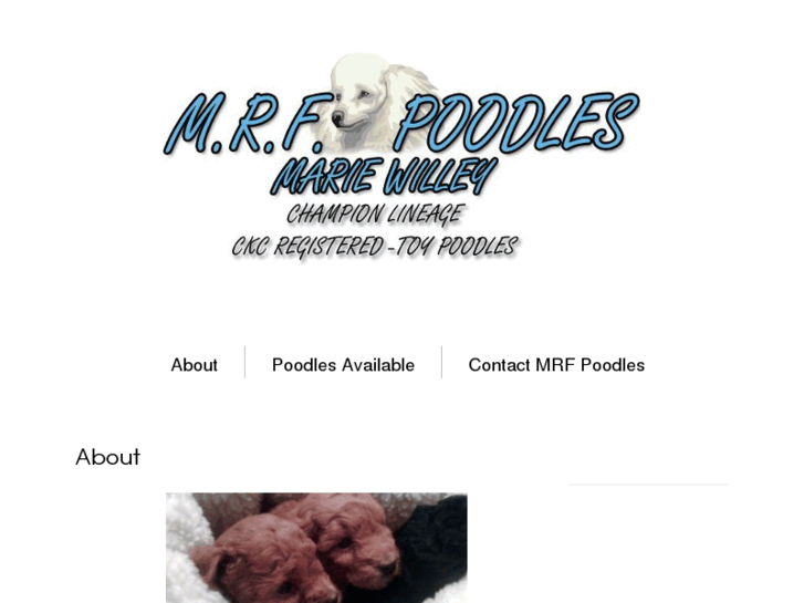 www.mrfpoodles.com