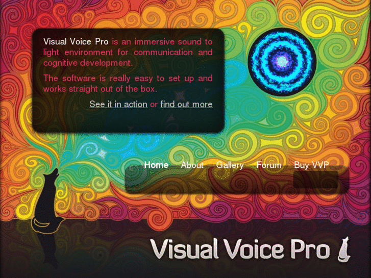 www.visualvoicepro.com