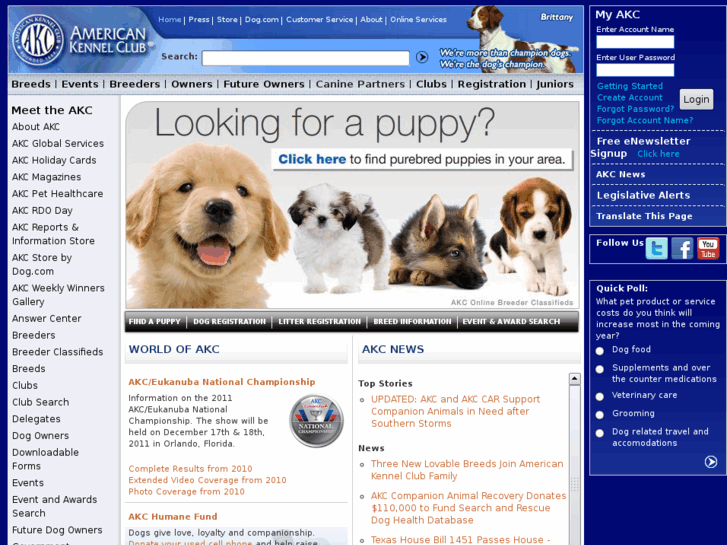 www.akcpoochie.net