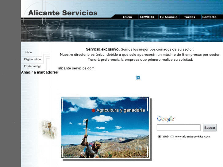 www.alicanteservicios.com