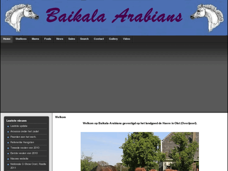 www.baikala-arabians.com