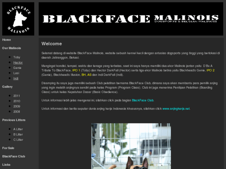 www.blackface.biz