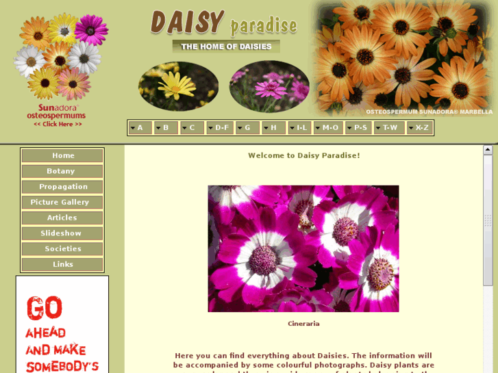 www.daisyparadise.com