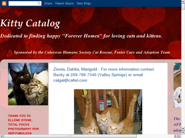 www.kittycatalog.org