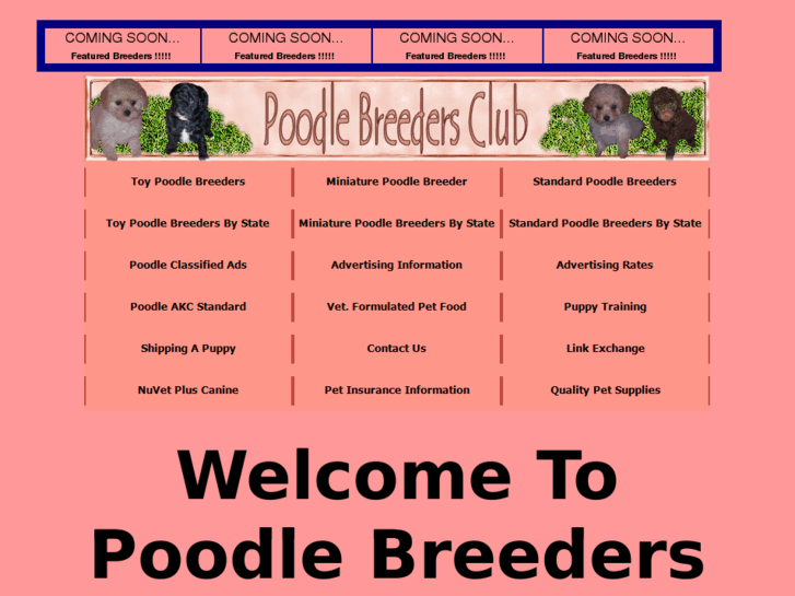 www.poodlebreedersclub.com
