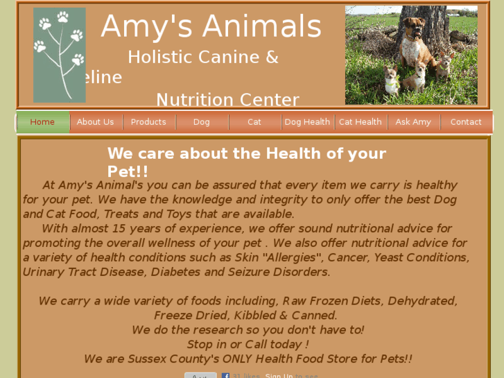 www.amysanimals.net