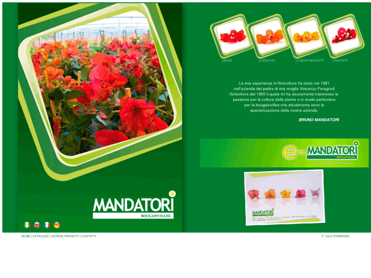 www.mandatori.it