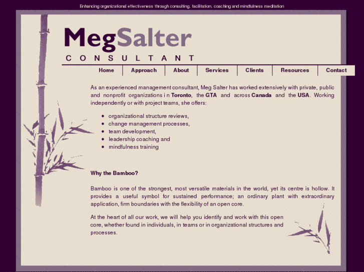 www.megsalter.com