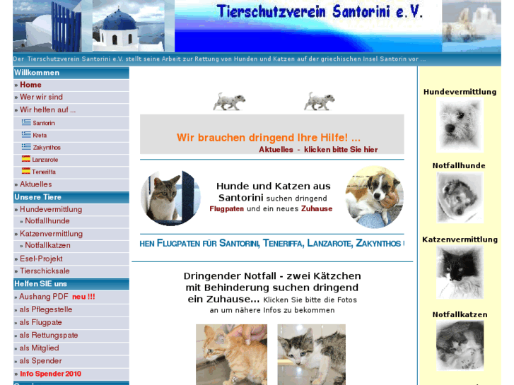 www.tierschutzvereinsantorini.de