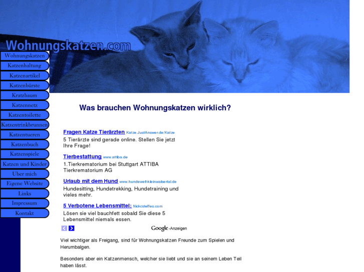 www.wohnungskatzen.com