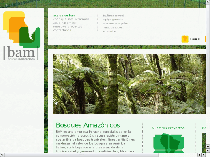 www.bosques-amazonicos.com