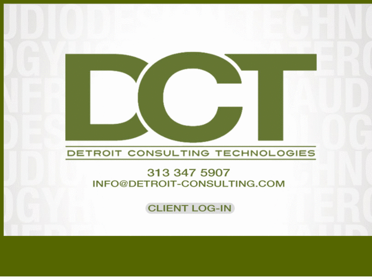 www.detroit-consulting.com